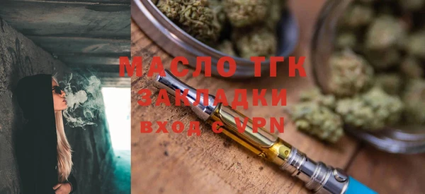 индика Новодвинск