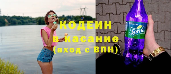 индика Новодвинск
