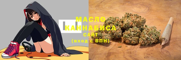 индика Новодвинск
