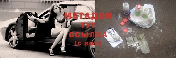 индика Новодвинск