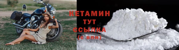 индика Новодвинск