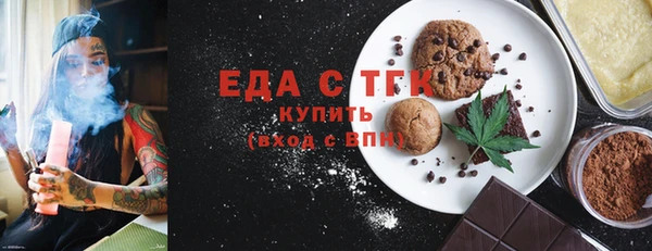 индика Новодвинск