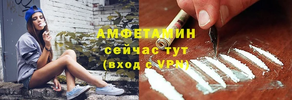 индика Новодвинск