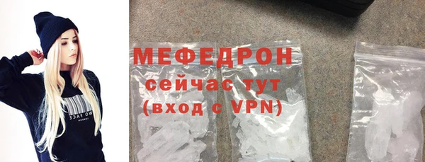 индика Новодвинск