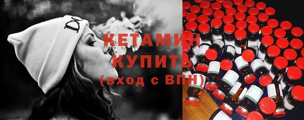 индика Новодвинск