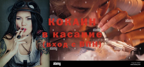 индика Новодвинск