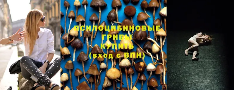 Псилоцибиновые грибы ЛСД  сайты даркнета какой сайт  ссылка на мегу как войти  Серафимович  магазин  наркотиков 