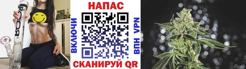 МАРИХУАНА сатива  Серафимович 